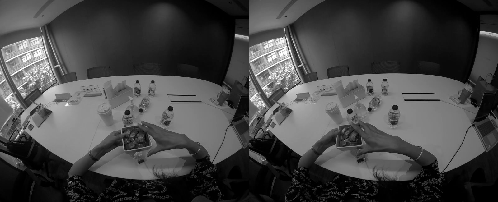 stereo pair
