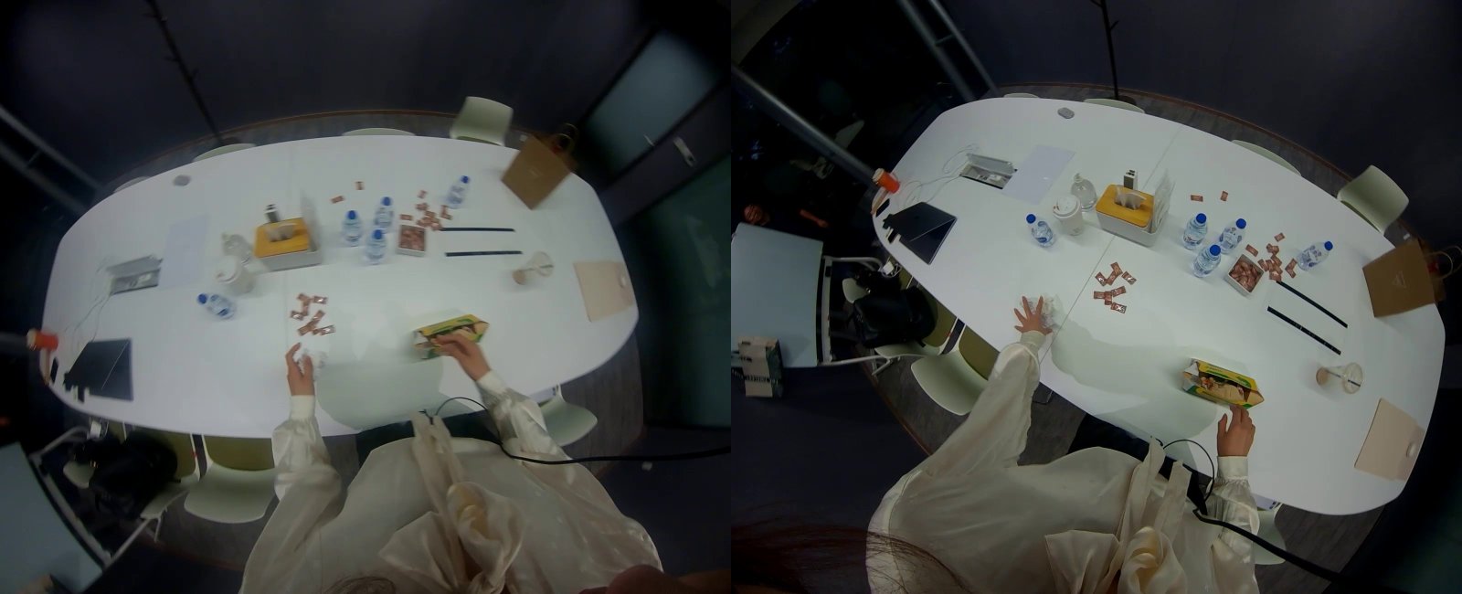 stereo pair